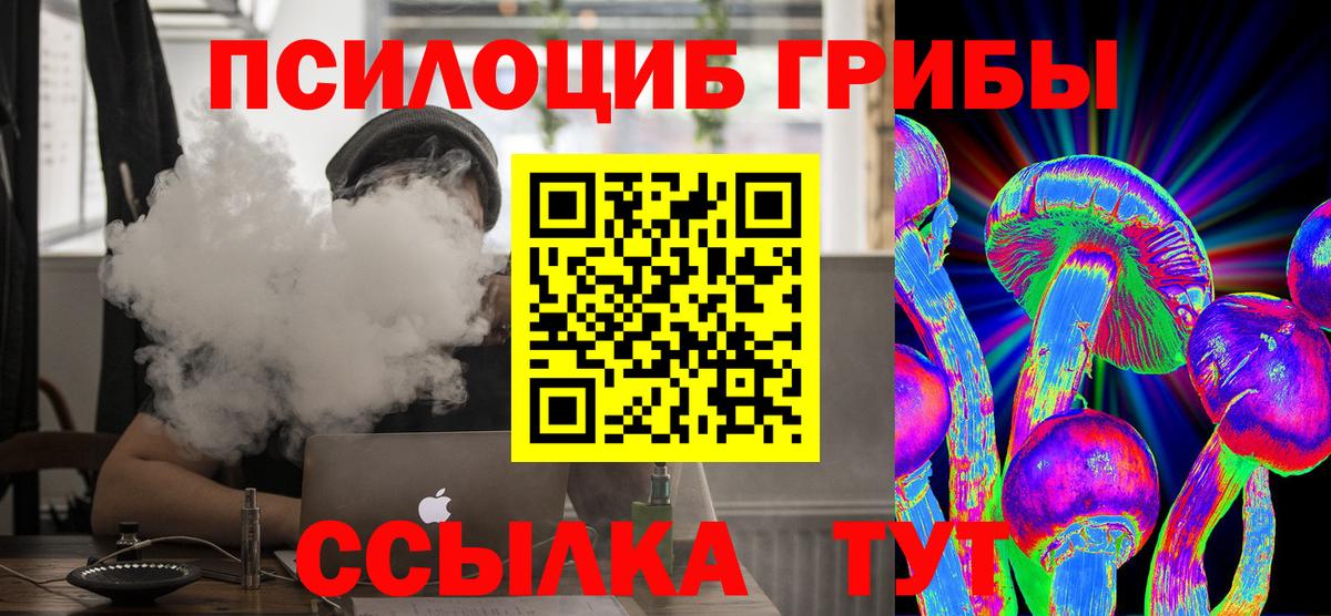 Псилоцибиновые грибы Magic Shrooms  Псилоцибиновые грибы прущие грибы  Вход с VPN  Россия 