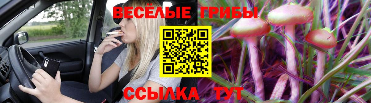 Псилоцибиновые грибы мицелий Россия